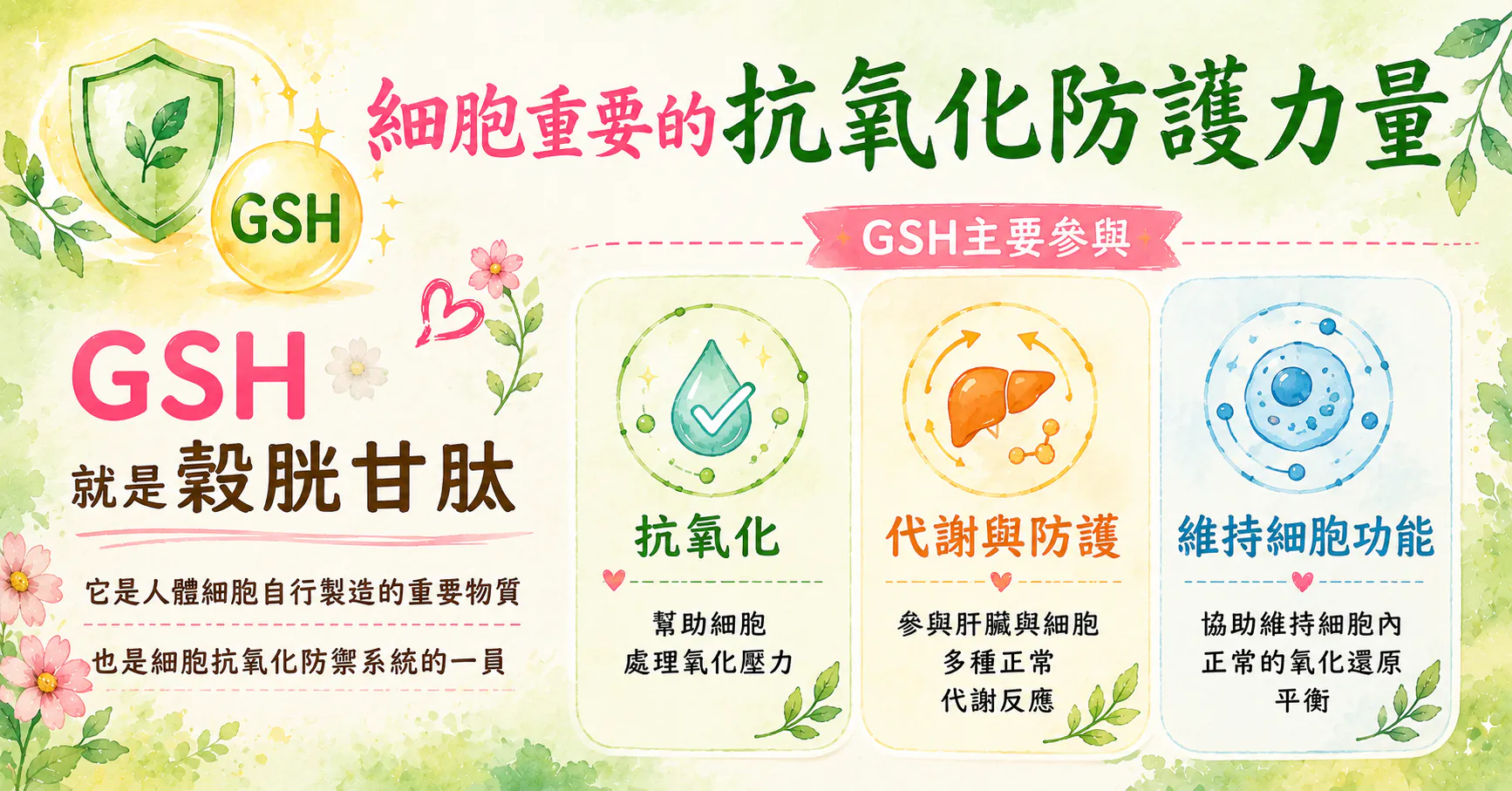 GSH 穀胱甘肽 細胞抗氧化防護力量說明